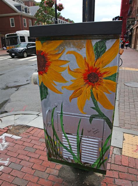 painted utility boxes